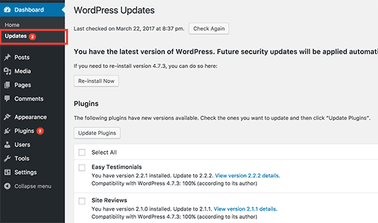 WordPress And Plugins Update
